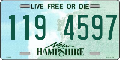 NH license plate 1194597