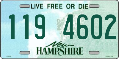 NH license plate 1194602