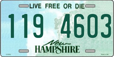 NH license plate 1194603