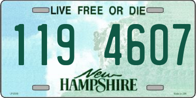 NH license plate 1194607
