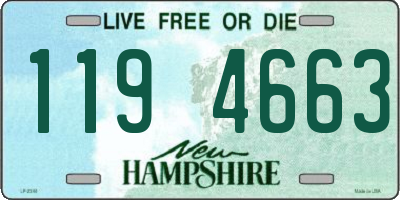 NH license plate 1194663