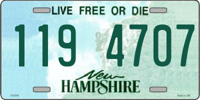 NH license plate 1194707