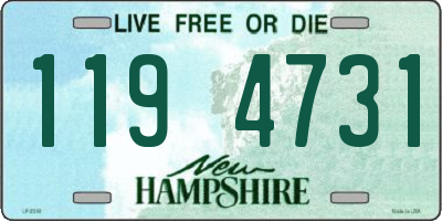 NH license plate 1194731