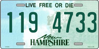 NH license plate 1194733