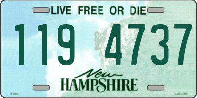 NH license plate 1194737