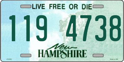 NH license plate 1194738
