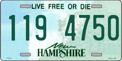 NH license plate 1194750