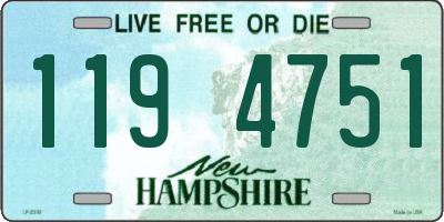 NH license plate 1194751