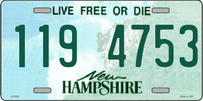 NH license plate 1194753