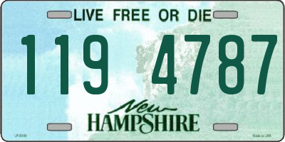 NH license plate 1194787