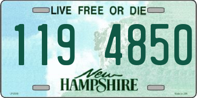 NH license plate 1194850