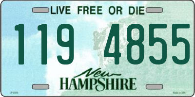 NH license plate 1194855