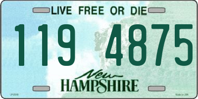 NH license plate 1194875