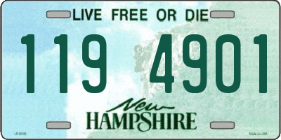 NH license plate 1194901