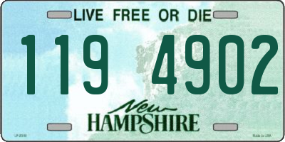 NH license plate 1194902