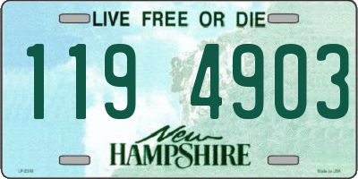 NH license plate 1194903