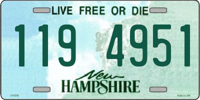 NH license plate 1194951