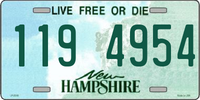 NH license plate 1194954