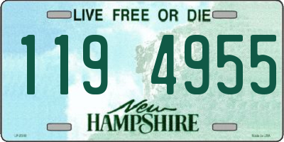 NH license plate 1194955