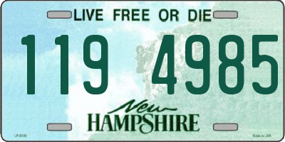 NH license plate 1194985