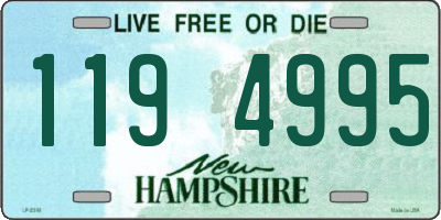 NH license plate 1194995