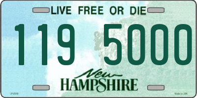 NH license plate 1195000
