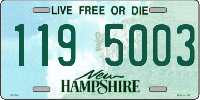 NH license plate 1195003