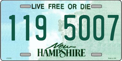 NH license plate 1195007