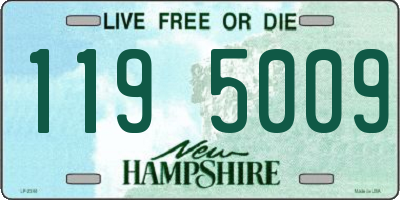 NH license plate 1195009