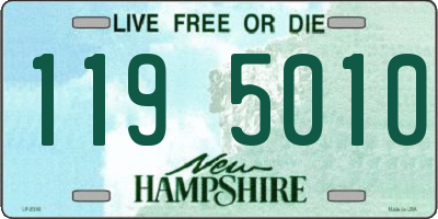 NH license plate 1195010