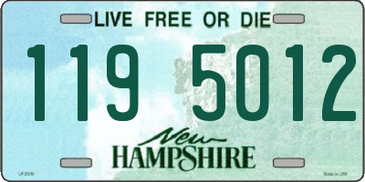 NH license plate 1195012