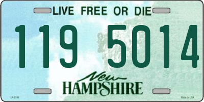 NH license plate 1195014