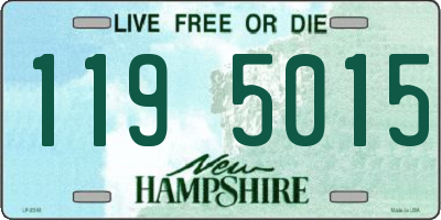 NH license plate 1195015