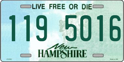 NH license plate 1195016