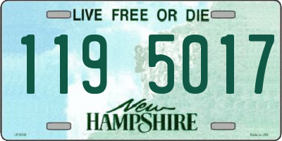 NH license plate 1195017