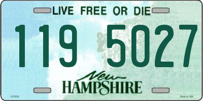 NH license plate 1195027