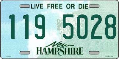 NH license plate 1195028