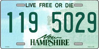 NH license plate 1195029