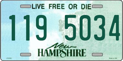 NH license plate 1195034