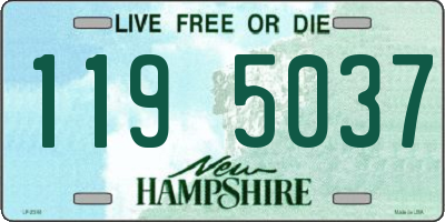 NH license plate 1195037
