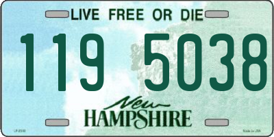 NH license plate 1195038