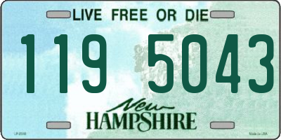NH license plate 1195043