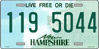 NH license plate 1195044