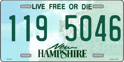 NH license plate 1195046
