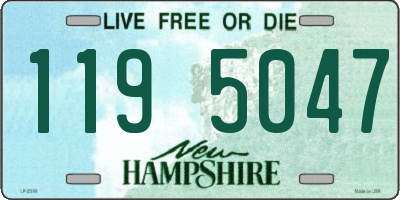NH license plate 1195047