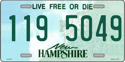 NH license plate 1195049