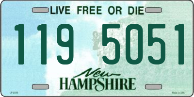 NH license plate 1195051