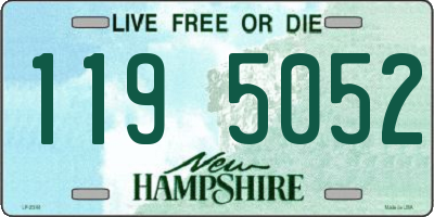 NH license plate 1195052