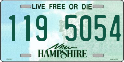 NH license plate 1195054