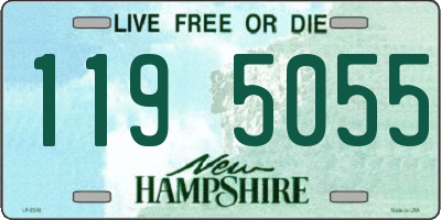 NH license plate 1195055